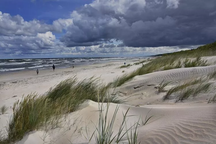 Mergeritka domki STANDARD Sarbinowo-Gebieden zomer 1km