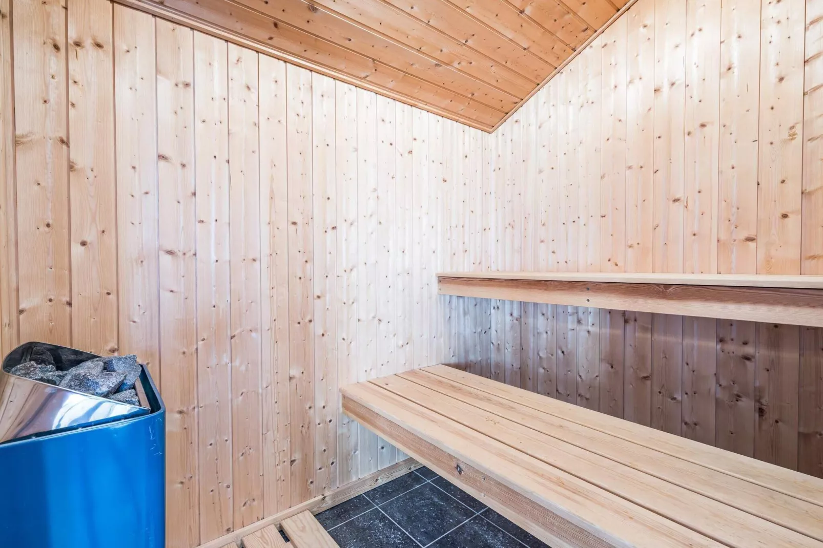 6 persoons vakantie huis in Tarm-Sauna