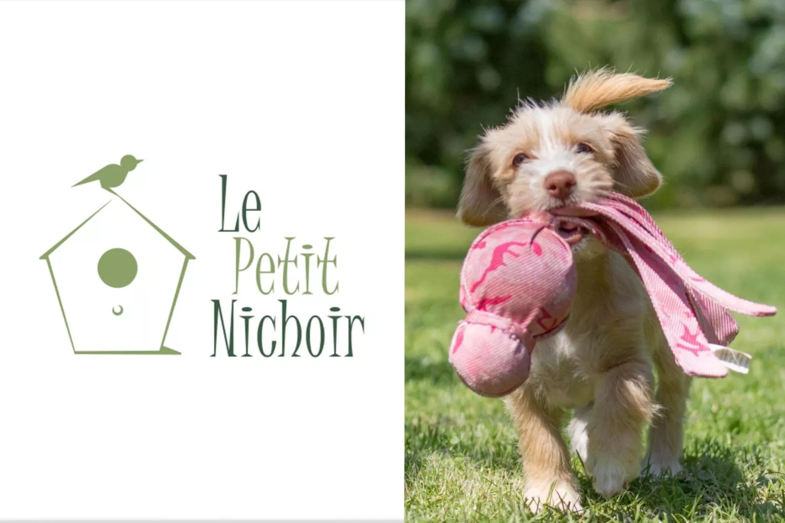 Le petit Nichoir-Sfeer