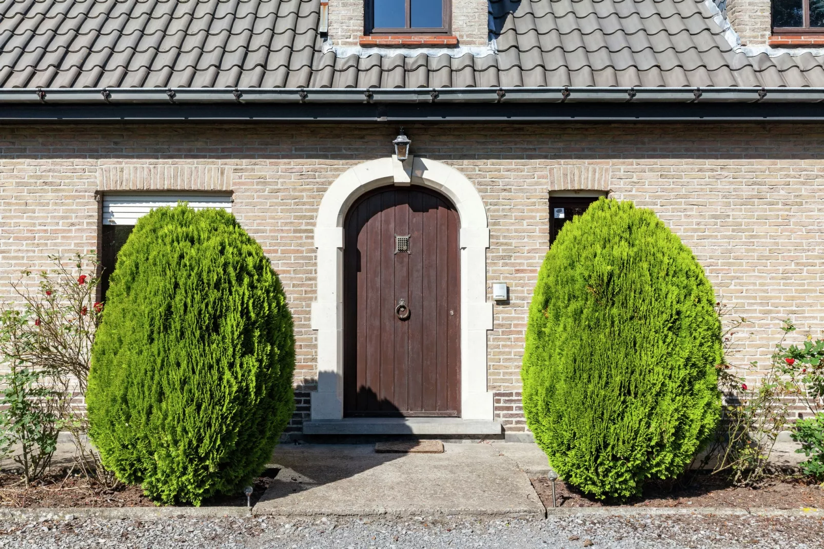 Nieuwe Bosrand-Sfeer
