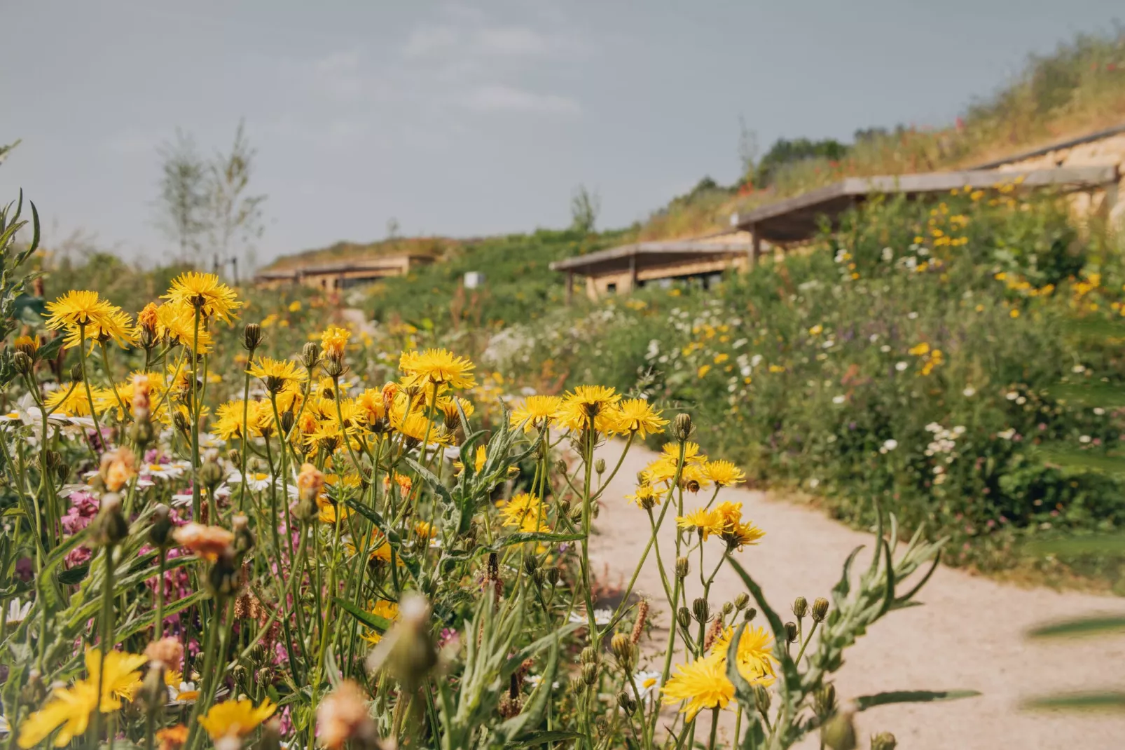 Resort Gulpen 1-Gebieden zomer 1km