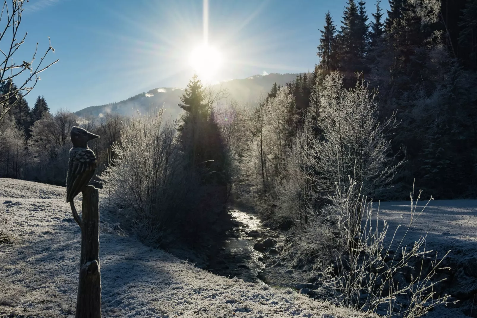 Haus Weissbach-Gebied winter 1km