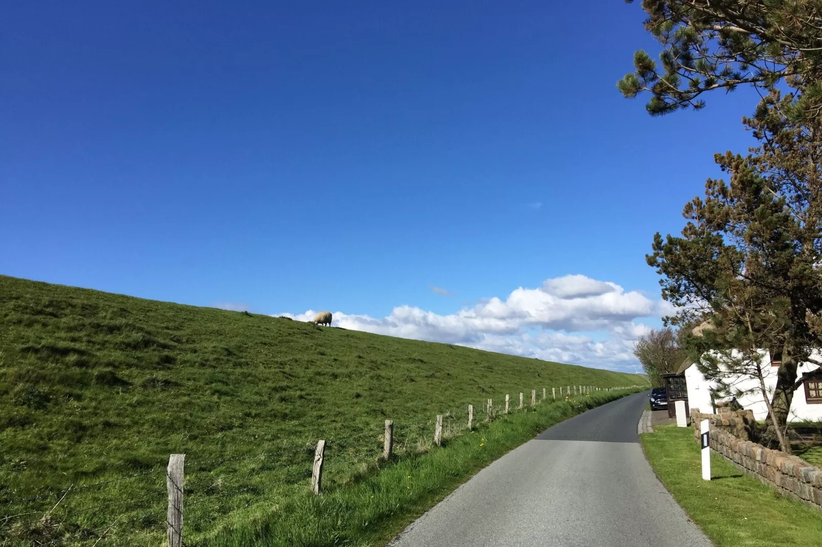 Reihenhaus in Hedwigenkoog-Gebieden zomer 1km