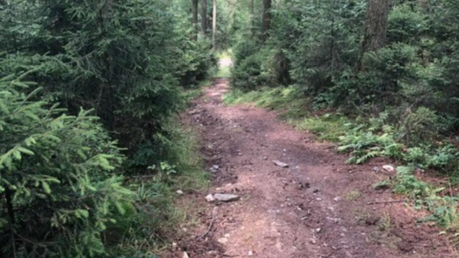 Abs Blokhut-Gebieden zomer 1km