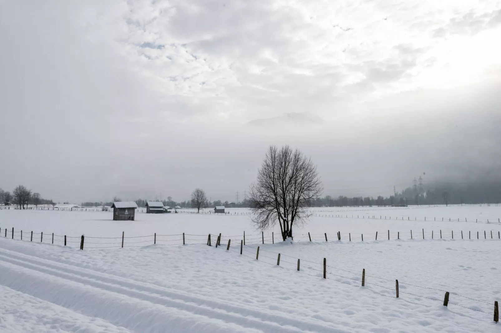 Steindorf 8-Gebied winter 1km