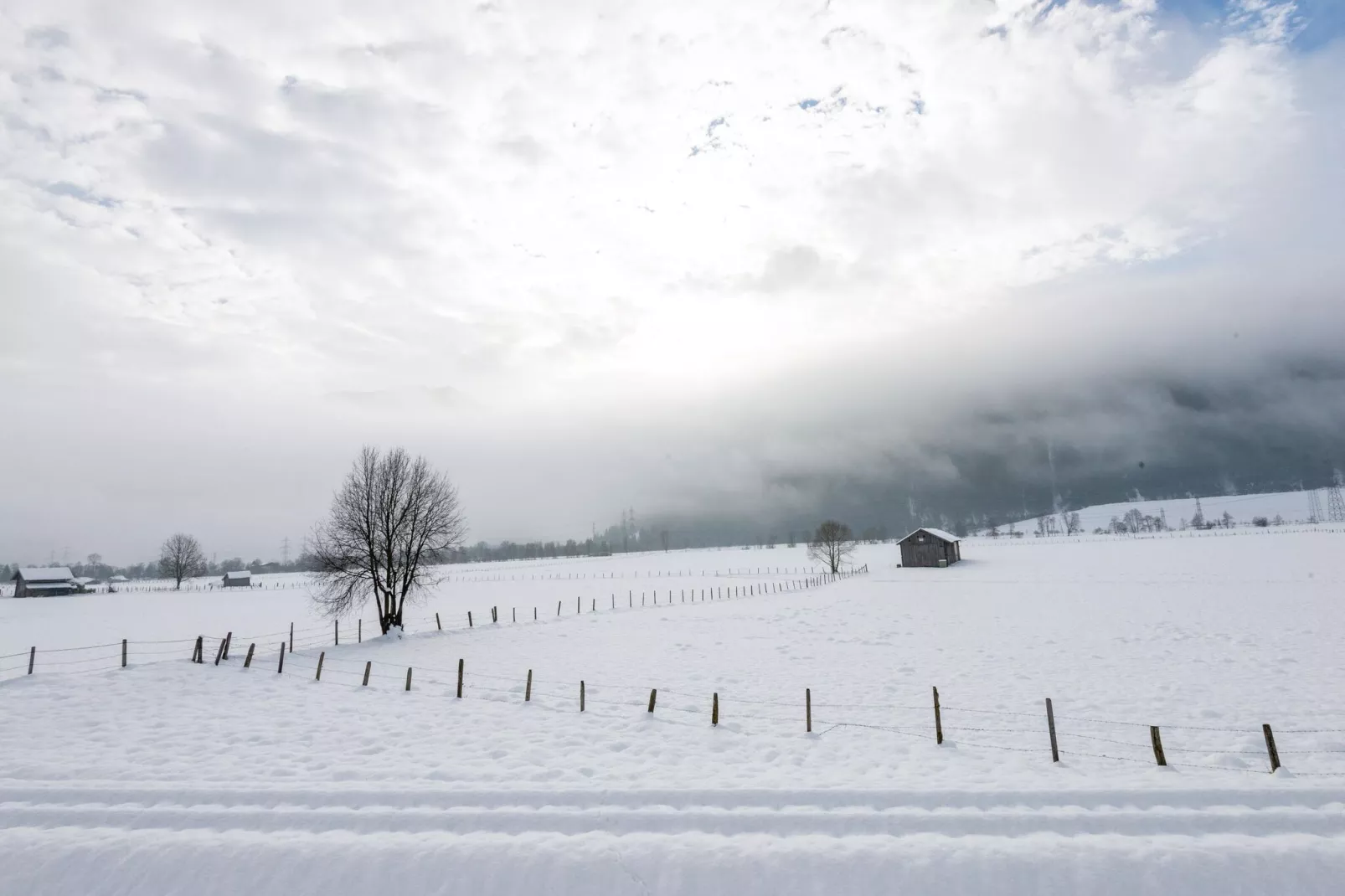 Steindorf 8-Gebied winter 5km