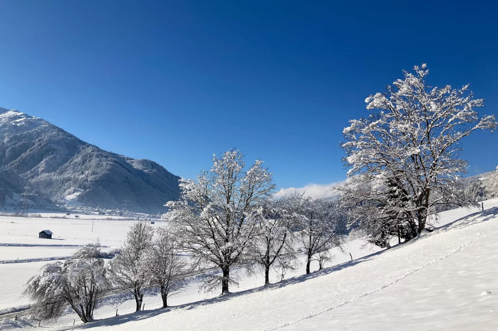 Fewo Pinzgau-Uitzicht winter