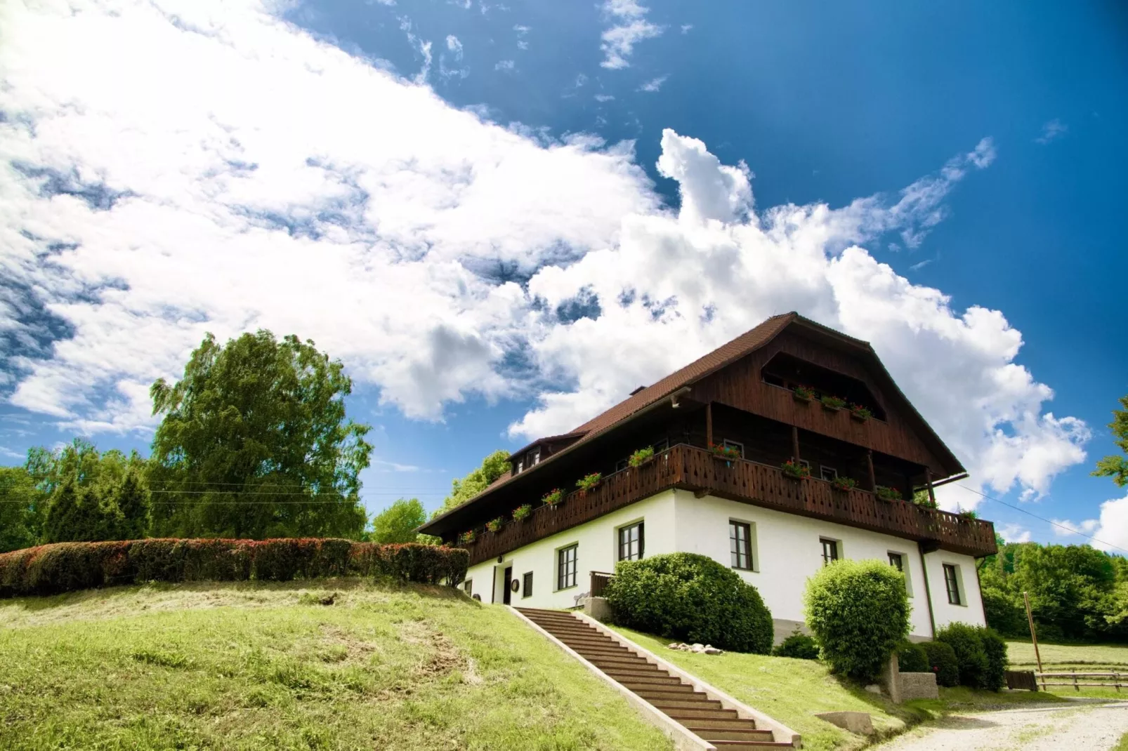 Ferienhaus Birkenhof-Buitenkant zomer