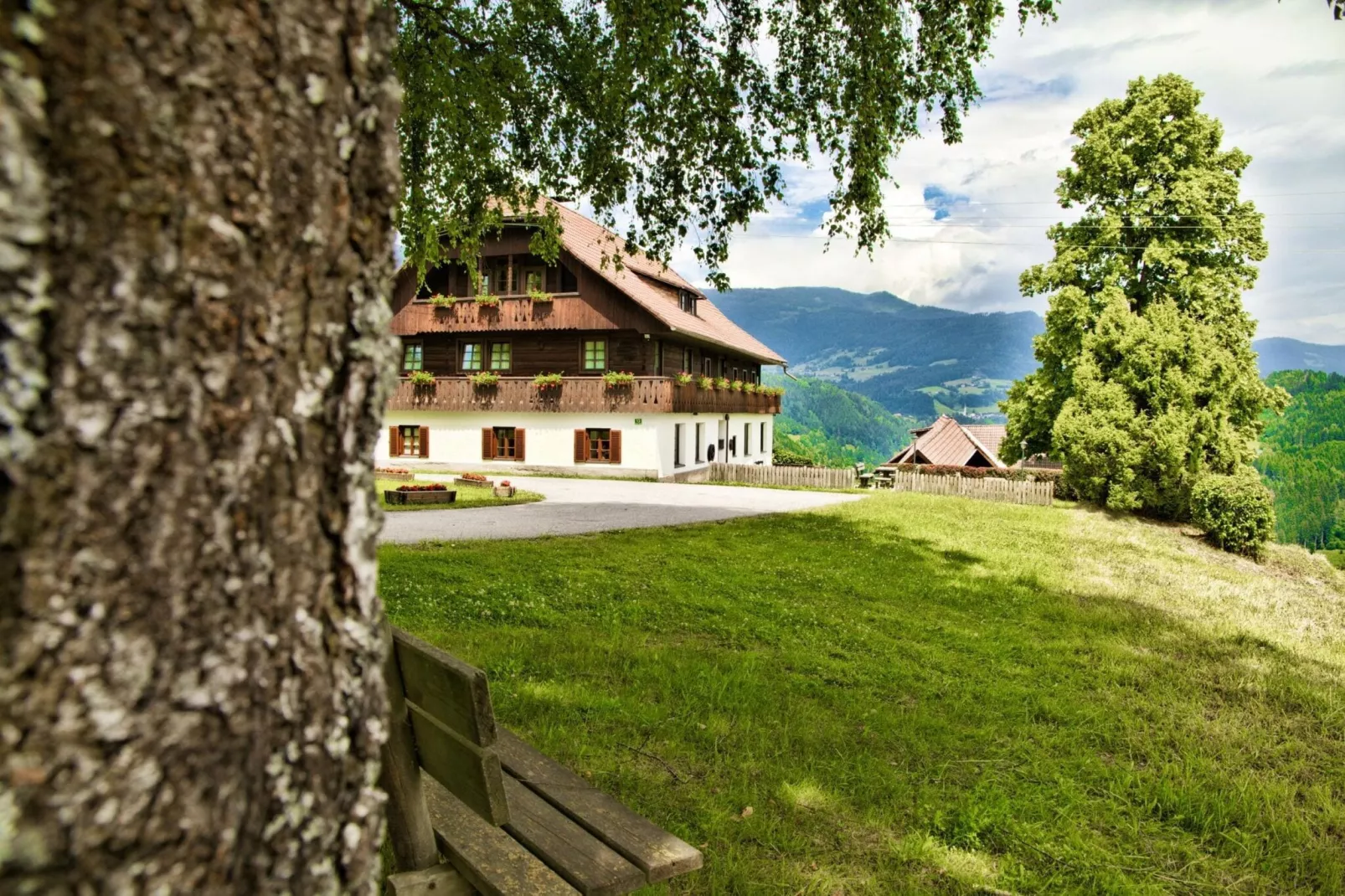 Ferienhaus Birkenhof-Buitenkant zomer