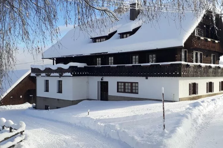 Ferienhaus Birkenhof-Exterieur winter
