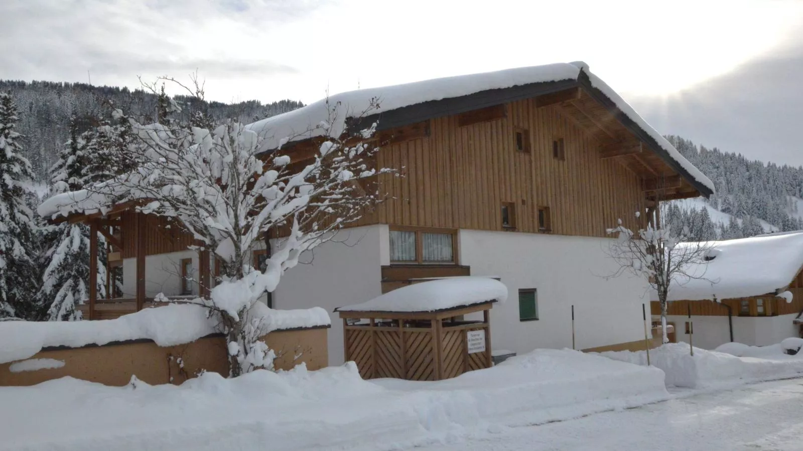 Bachrauschen-Exterieur winter