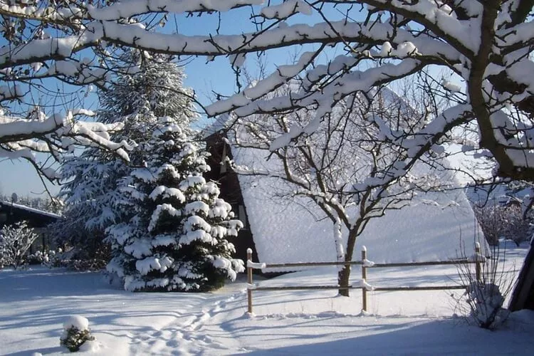 Feriendorf Waldbrunn 1-Exterieur winter