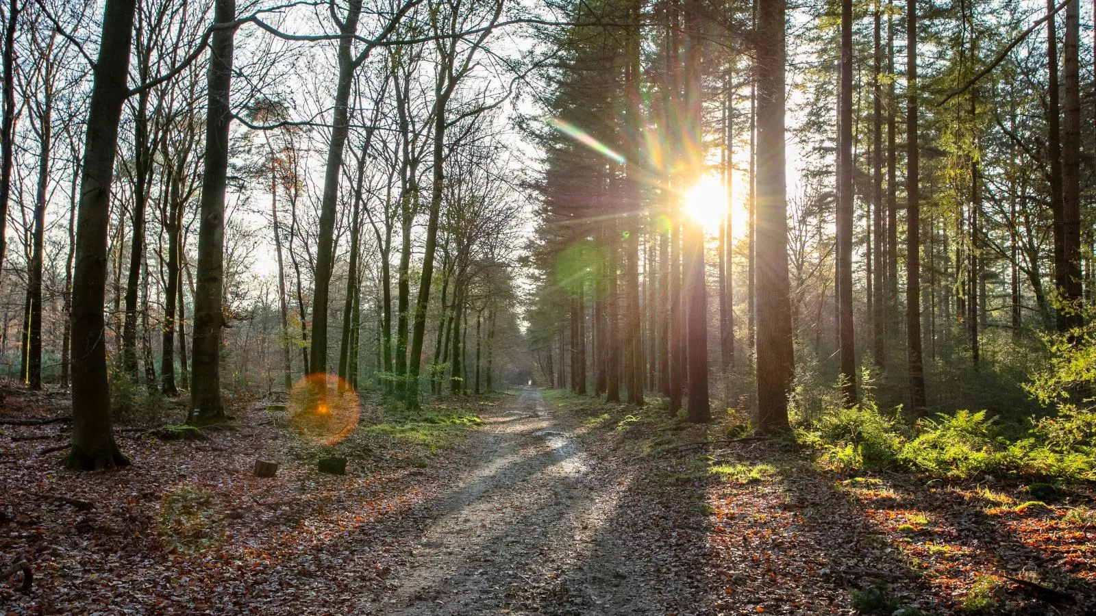 Abs Boerderietje-Gebieden zomer 1km