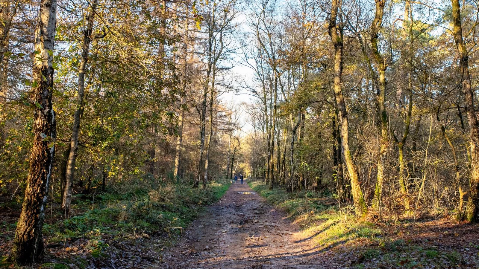 Abs Boerderietje-Gebieden zomer 1km