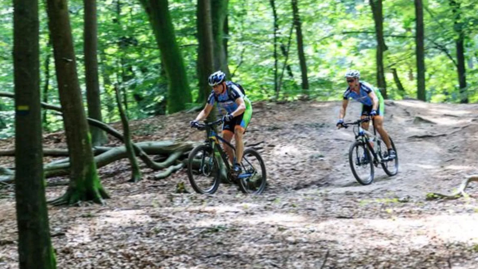 Abs Boerderietje-Gebieden zomer 5km