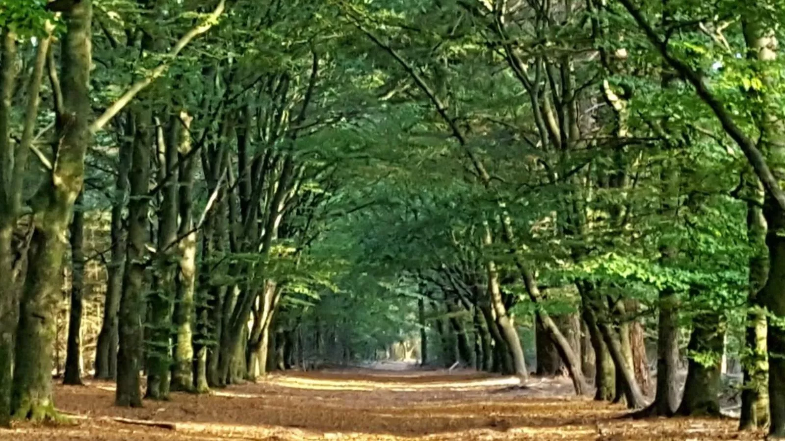 Abs Boerderietje-Gebieden zomer 5km