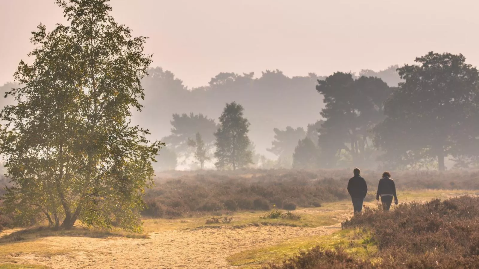 Abs Boerderietje-Gebieden zomer 5km