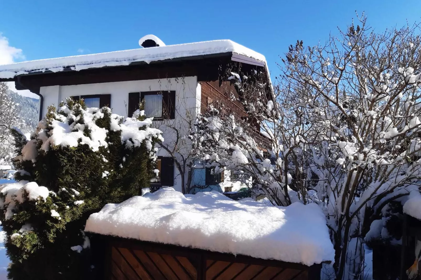 Oberhof Lodge-Tuin winter