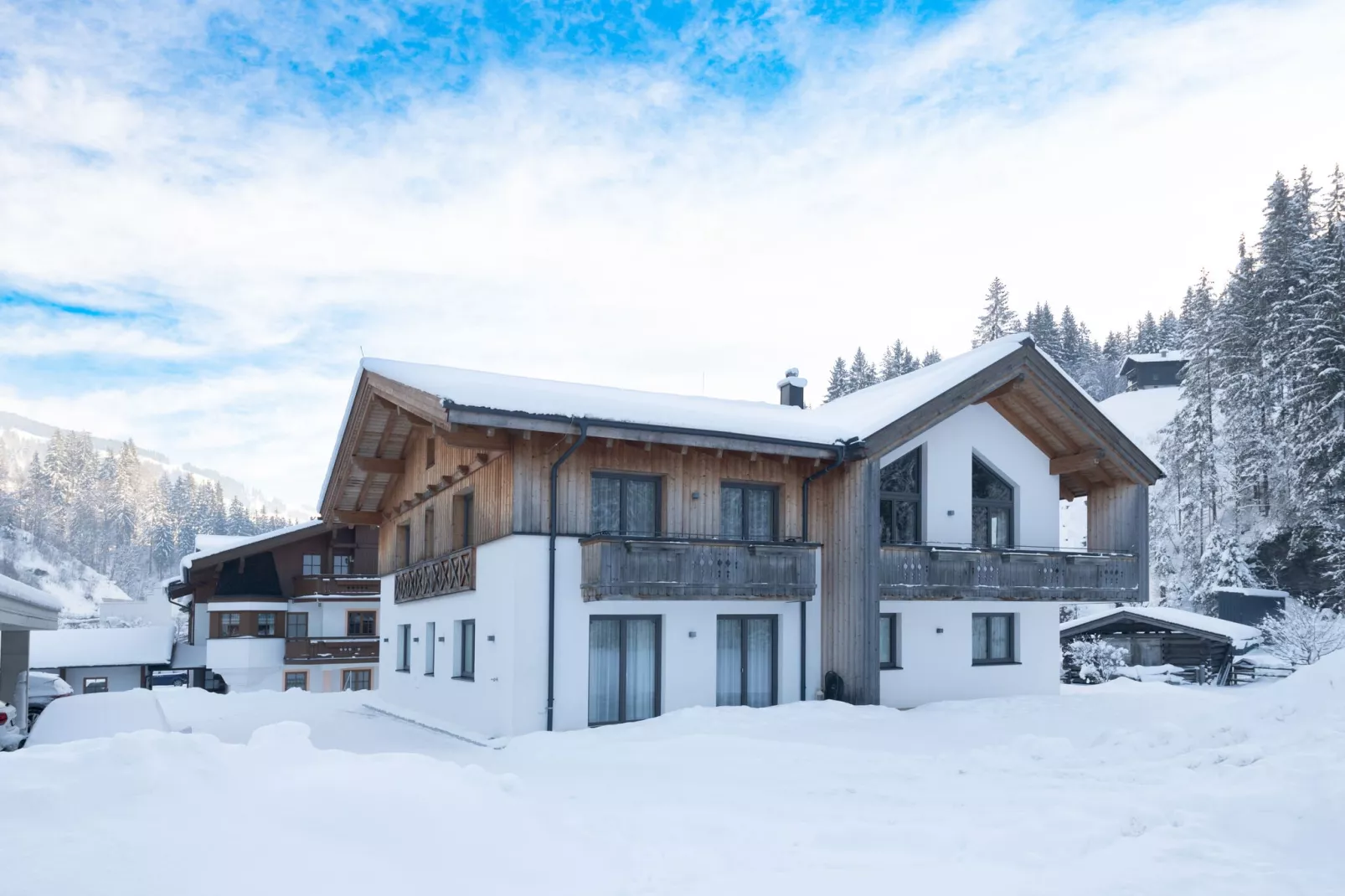 Saalach Appartement 4-Exterieur winter