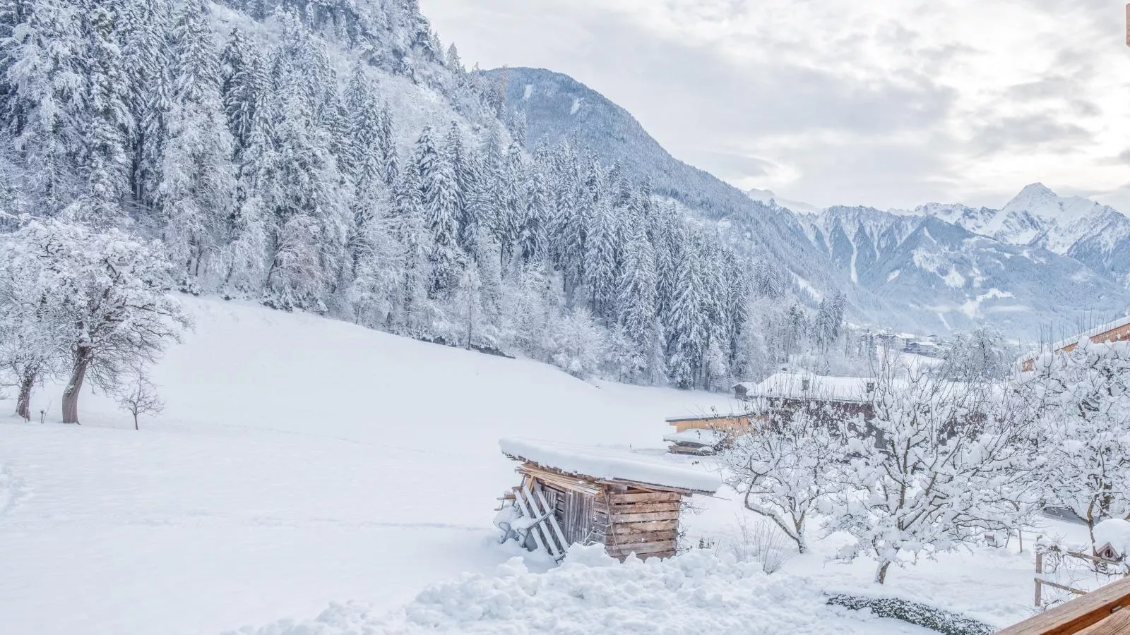 Rosalie-Lorena-Uitzicht winter