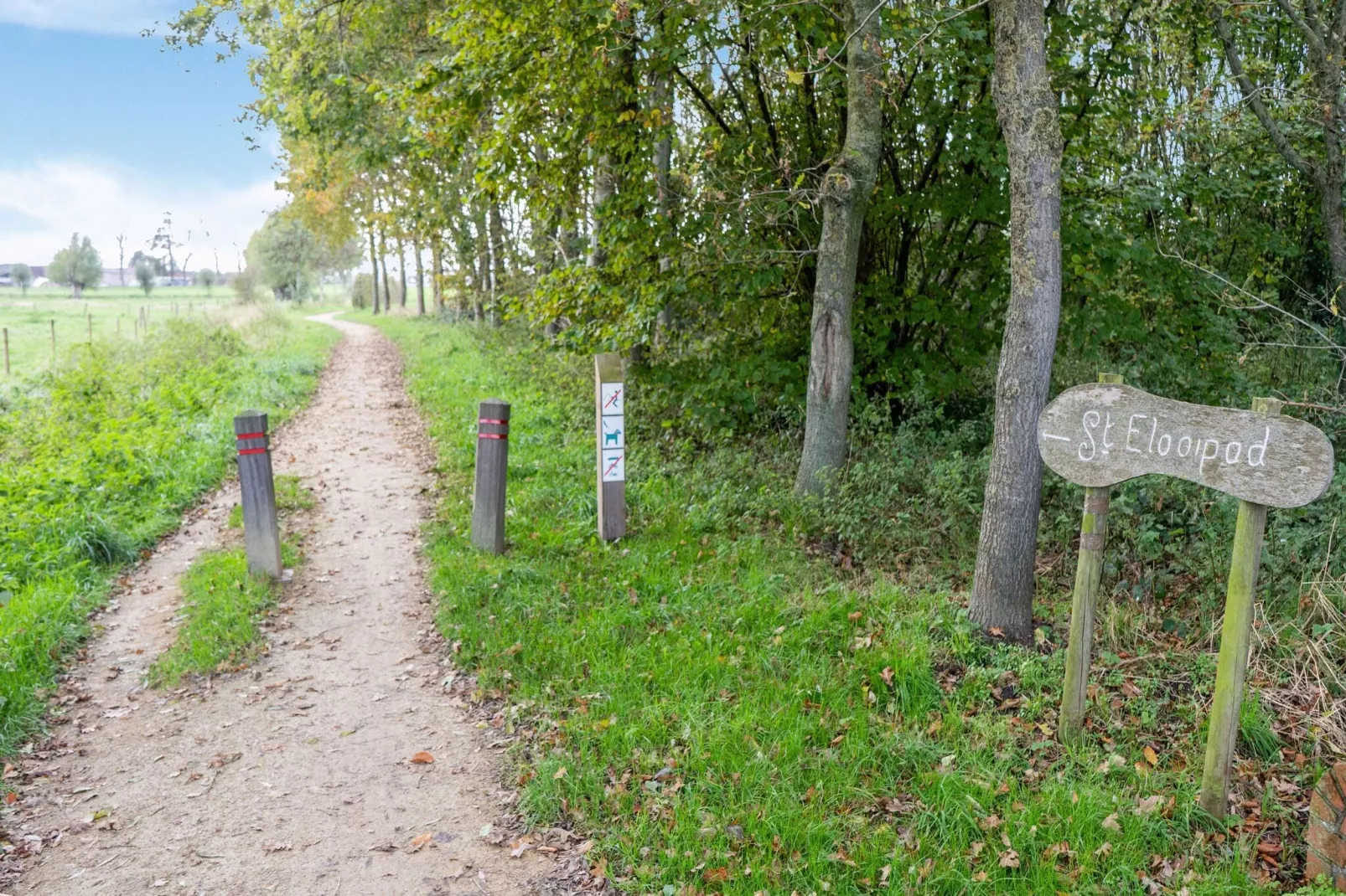 De oostster-Gebieden zomer 5km