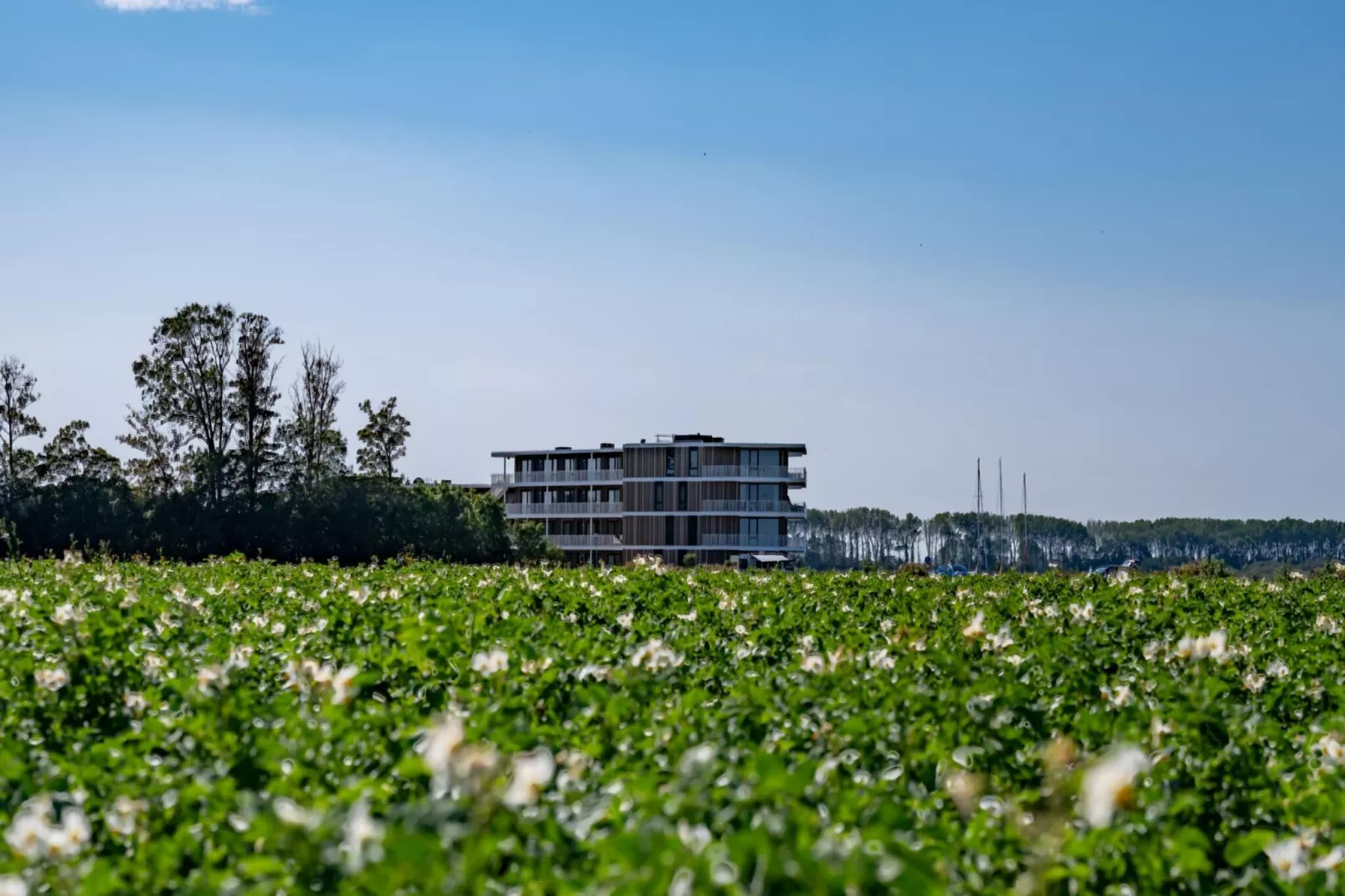 Veerse Wende 6 pers-Buitenkant zomer