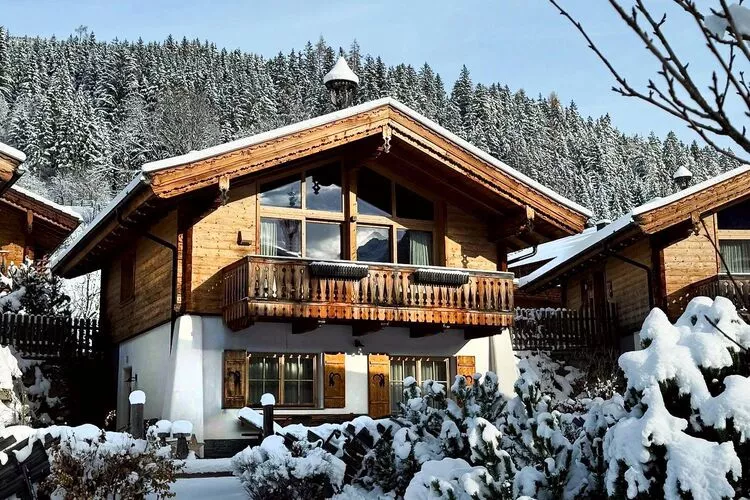 AlpenPura - Chalet Steinbock-Exterieur winter