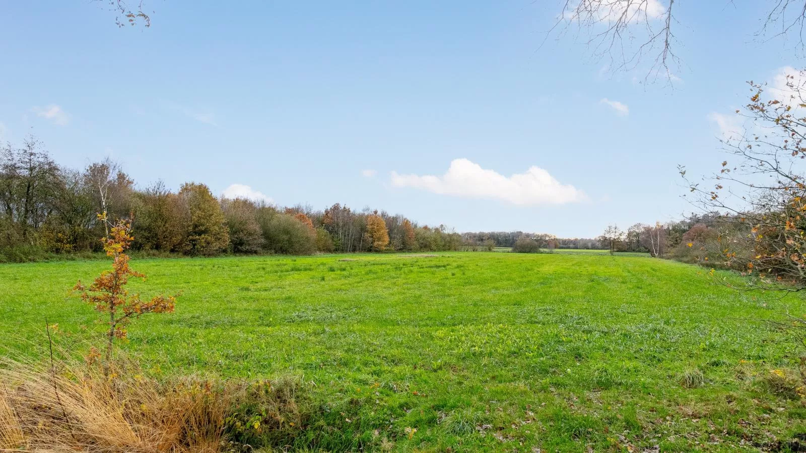 De Hoeve I-Uitzicht