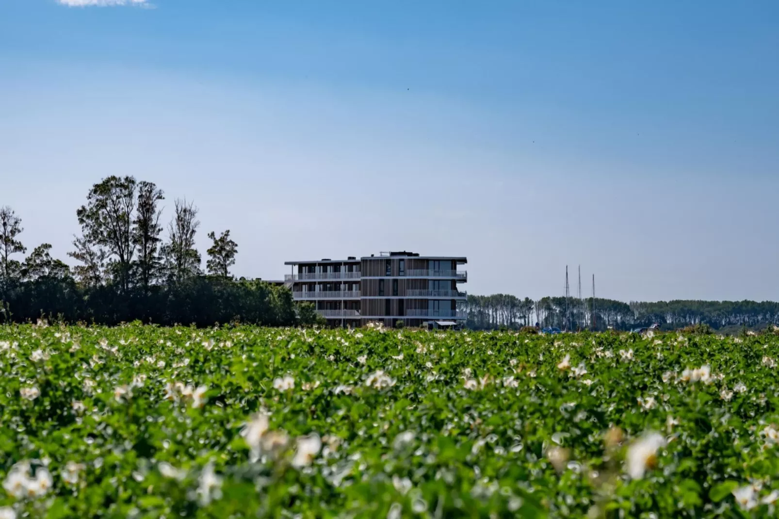 Veerse Wende 4 pers-Buitenkant zomer