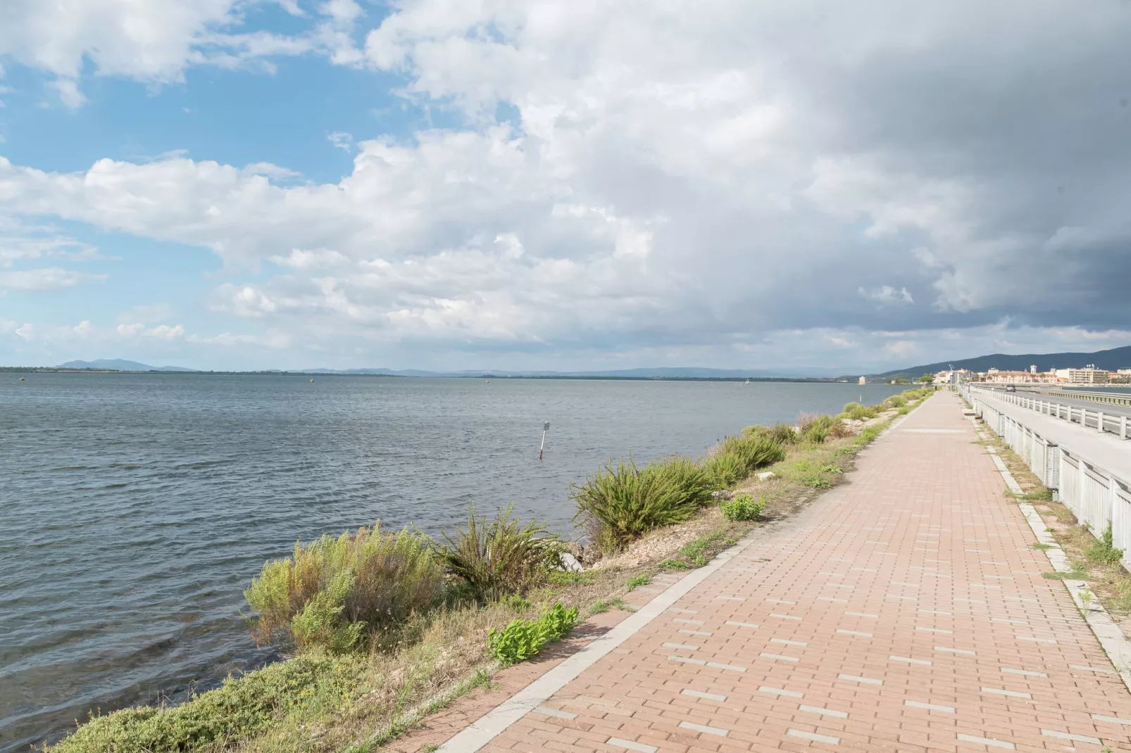 Saline-Gebieden zomer 5km