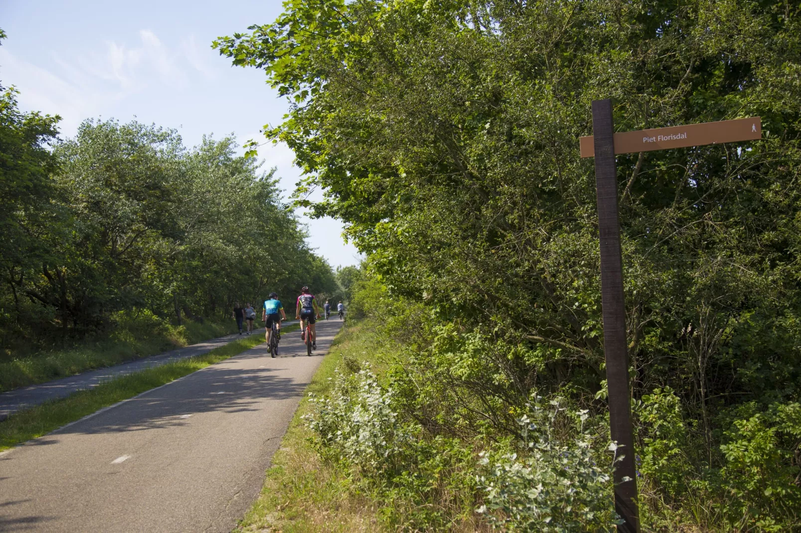 Vakantiepark Duinrust 3-Gebieden zomer 1km