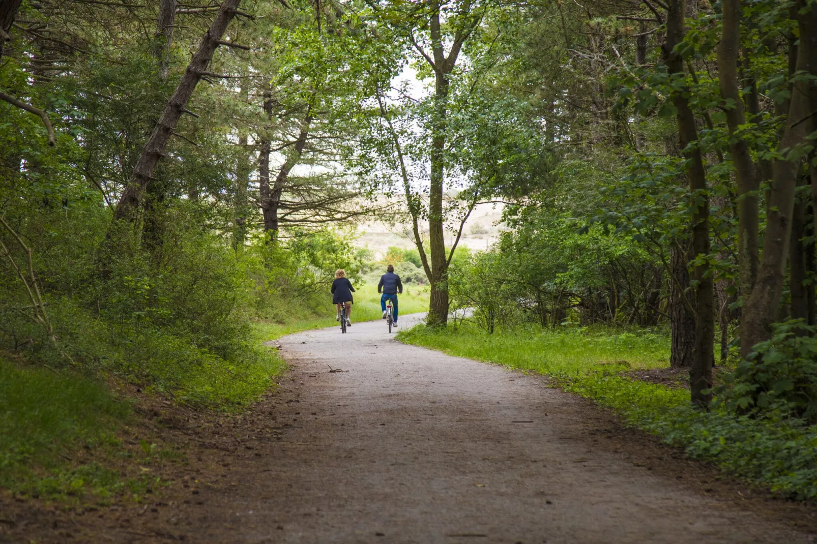 Vakantiepark Duinrust 3-Gebieden zomer 5km