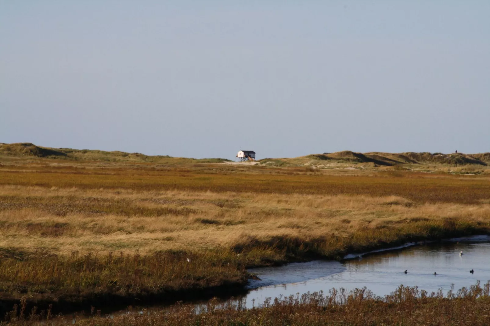 Reihenhaus Deichblick 4 Pers St Peter - Ording - Gebieden zomer 20km