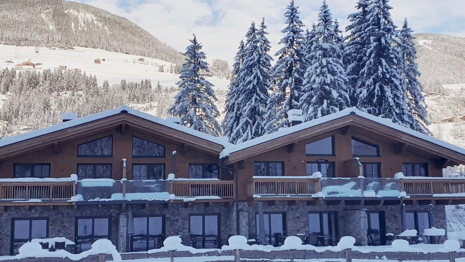 Felsener Wald-Exterieur winter