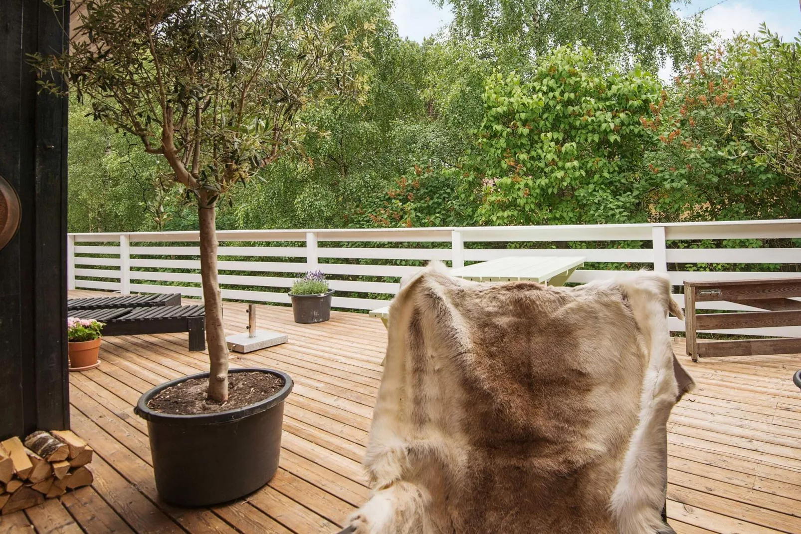 6 persoons vakantie huis in Ebeltoft - Uitzicht