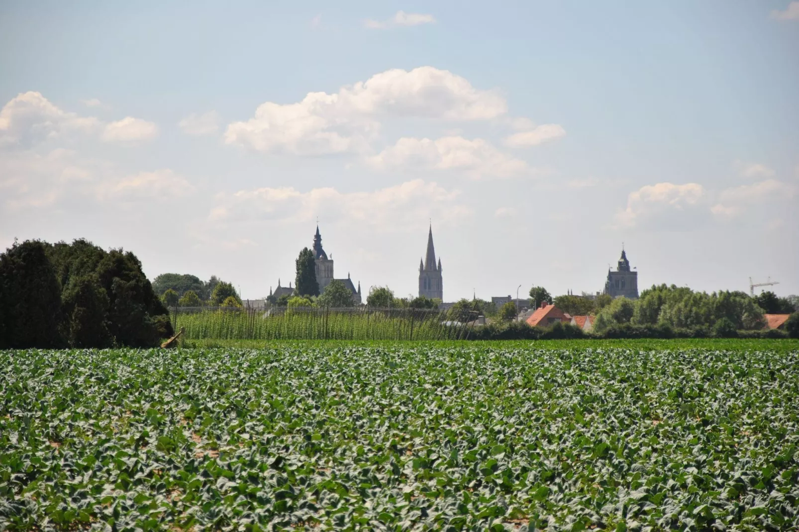 Breeduyn Village 2-Gebieden zomer 5km