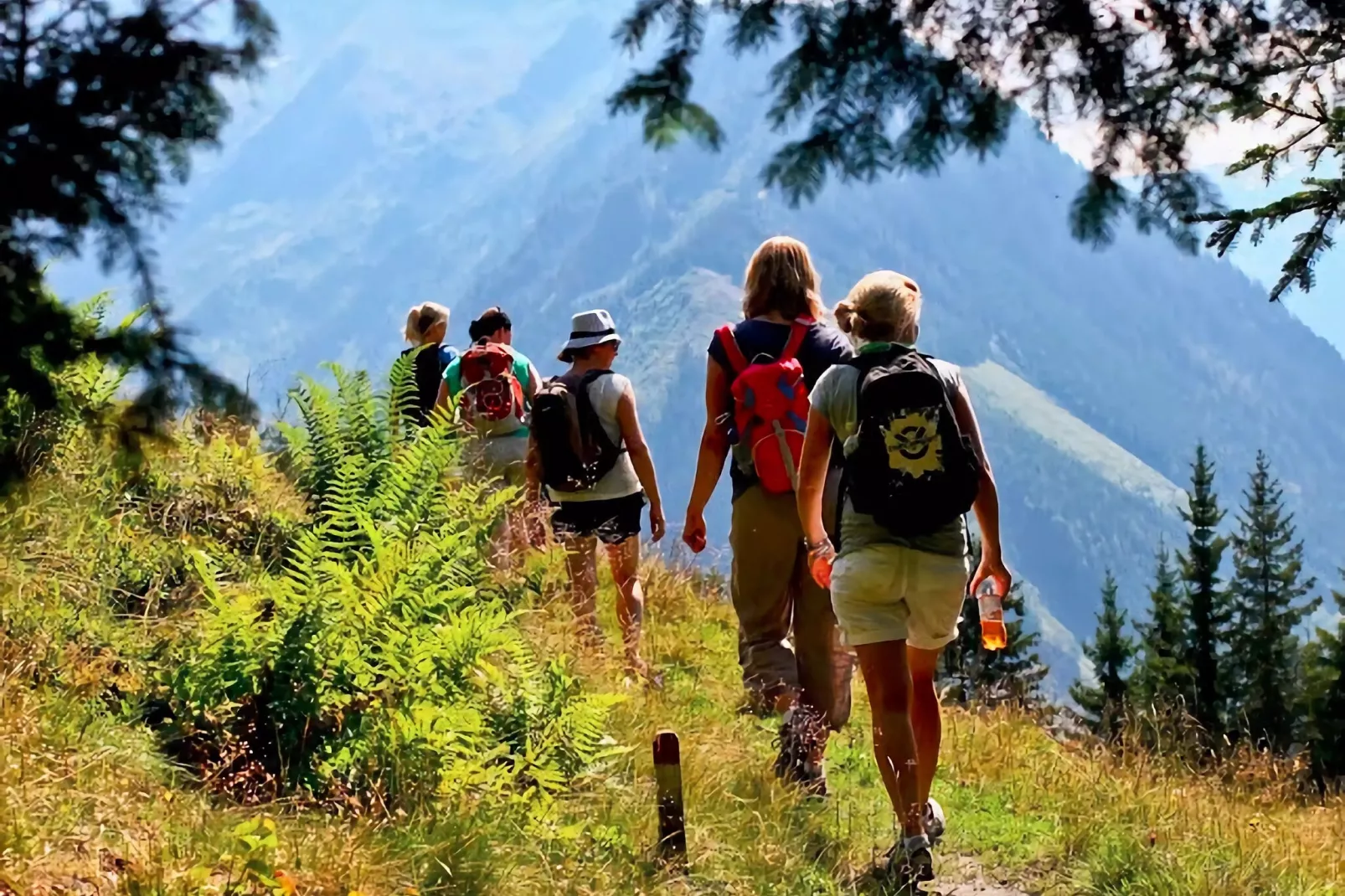 Appartement An der Piste-Gebieden zomer 5km