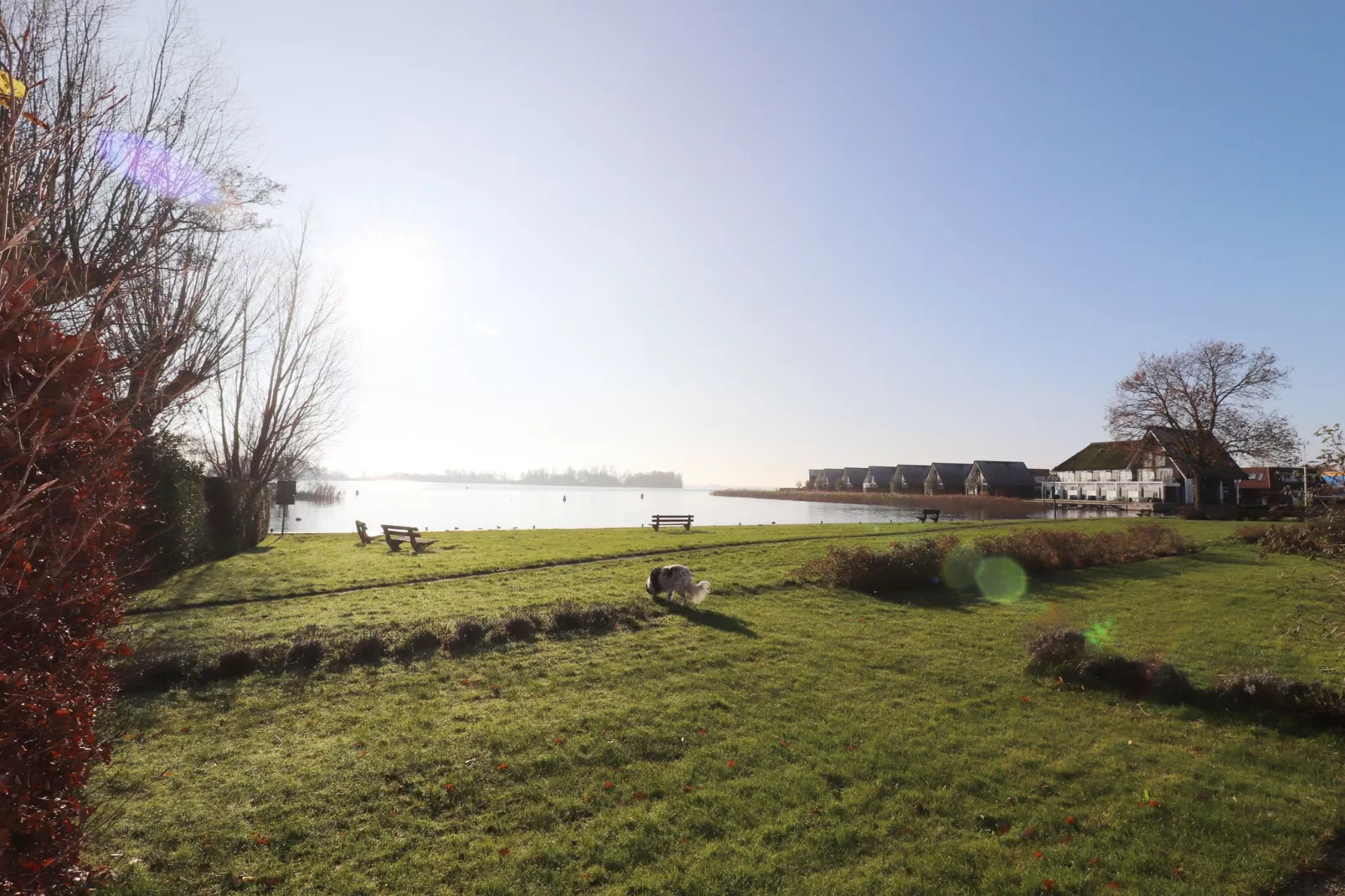 Appartement aan het meer in Heeg-Uitzicht winter