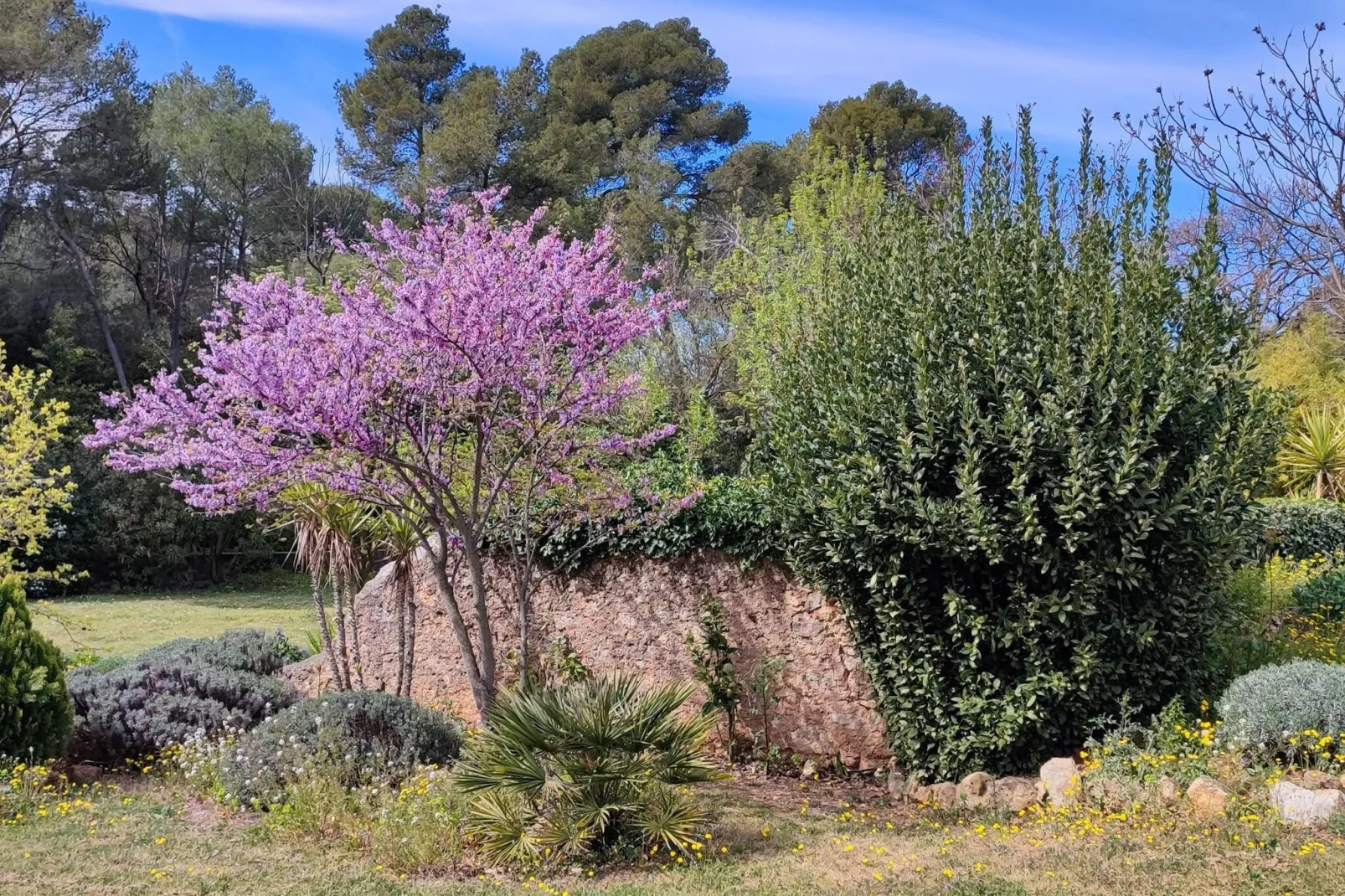 LA BOUSCADE GUESTHOUSE-Tuinen zomer