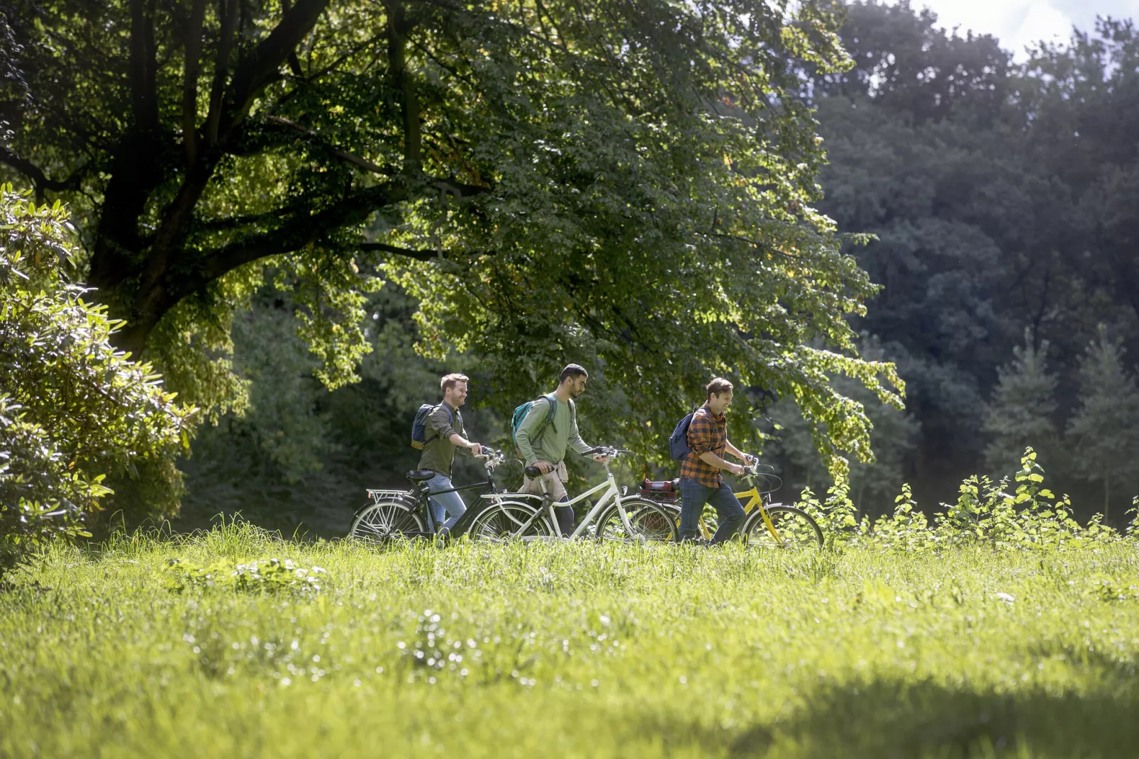 Recreatiedomein Jabbeke 1-Gebieden zomer 5km