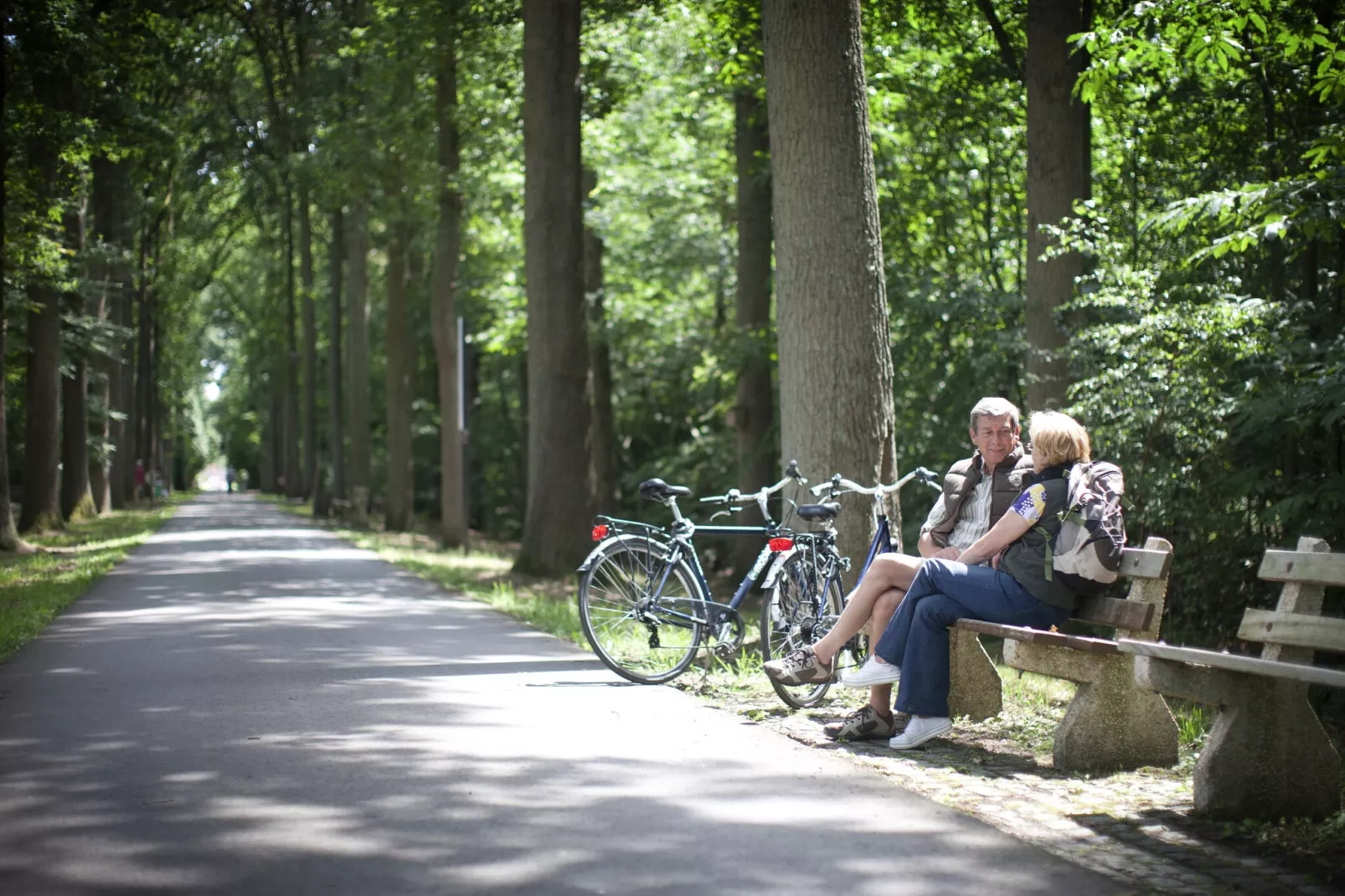 Recreatiedomein Jabbeke 1-Gebieden zomer 5km