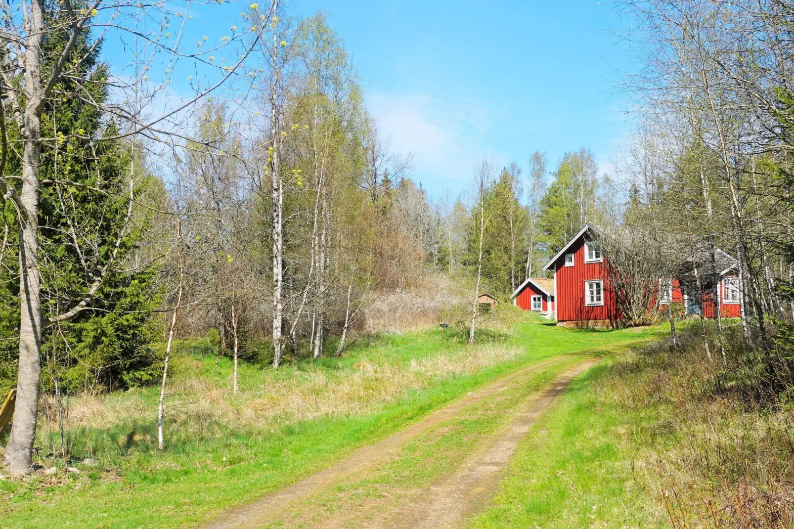 6 persoons vakantie huis in TINGSRYD-Buitenlucht