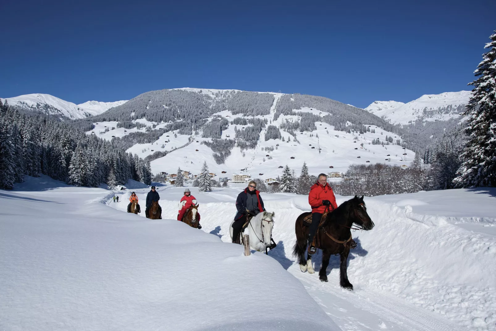 Luxner-Gebied winter 5km