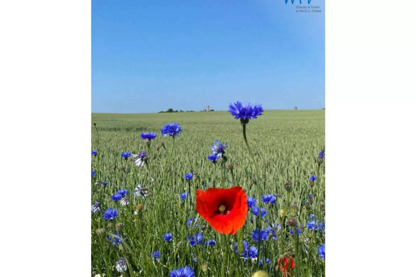 74775-Uitzicht zomer