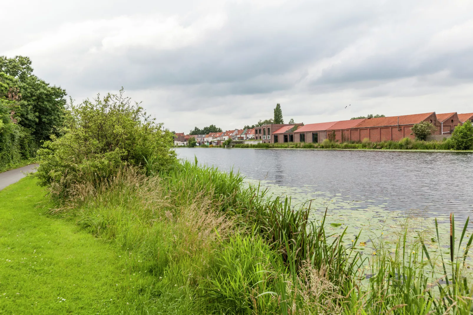 Leeuw van Vlaanderen