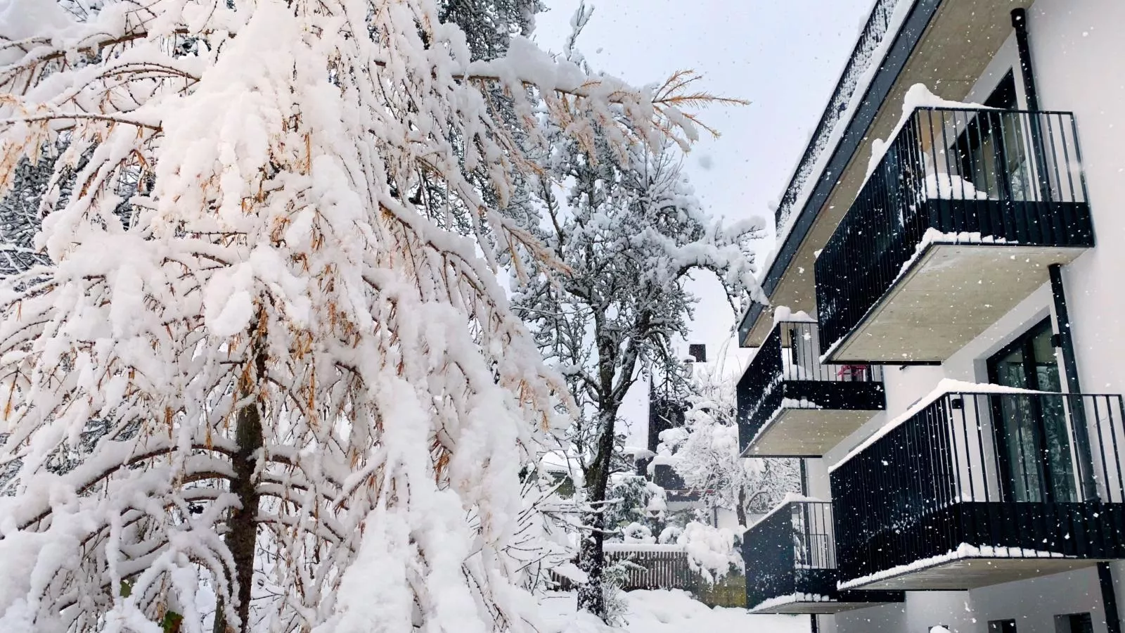 Lukasfeld 9 Top Lisi-Exterieur winter