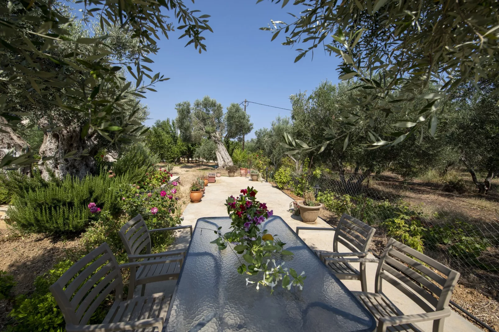 Villa Athina-Tuinen zomer
