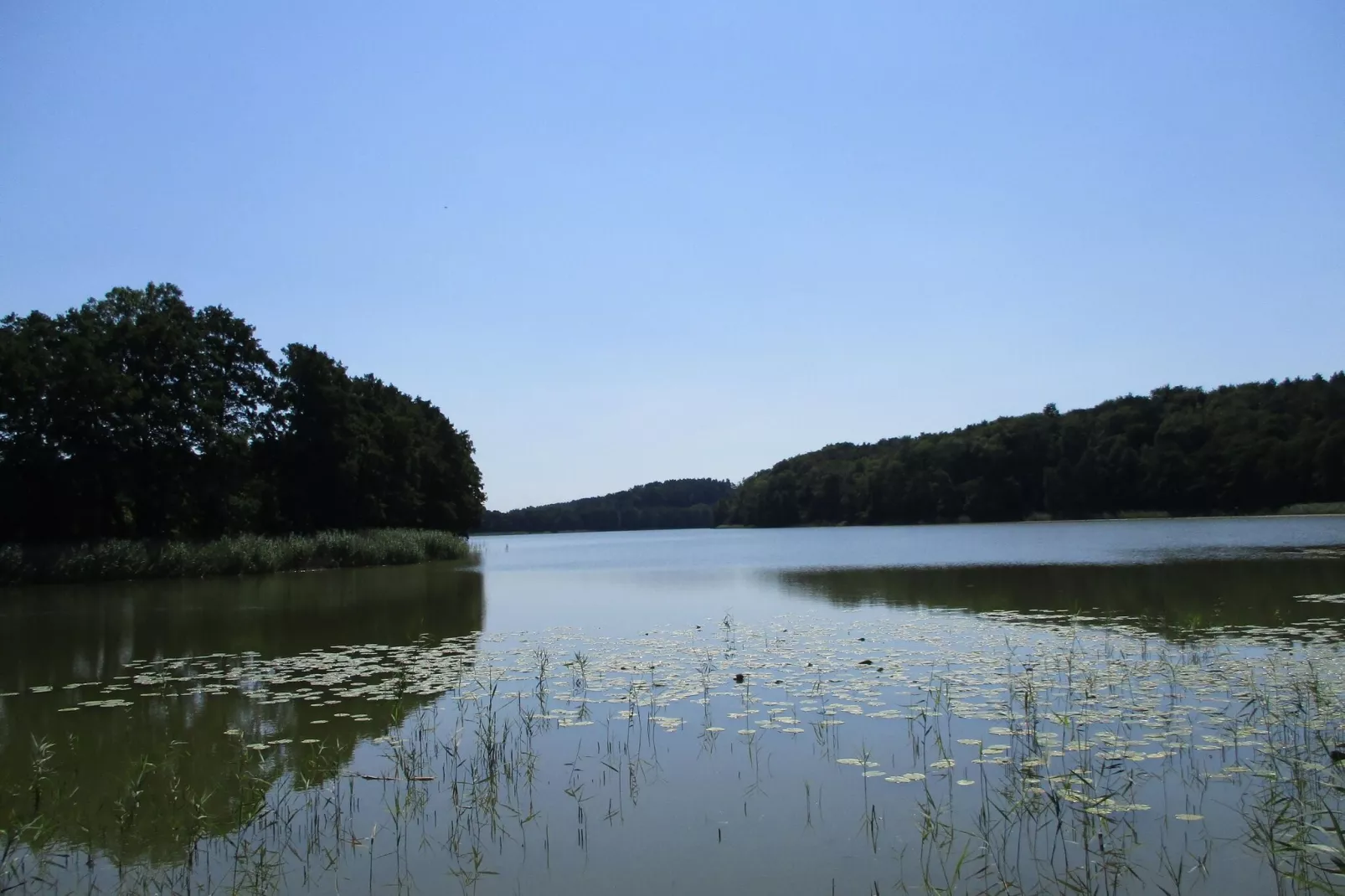 Dom wakacyjny dla miłośników przyrody-Gebieden zomer 1km