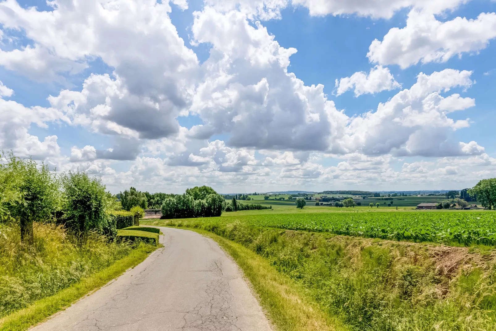 Wellness vakantiehuis Vlaamse Ardennen-Gebieden zomer 5km