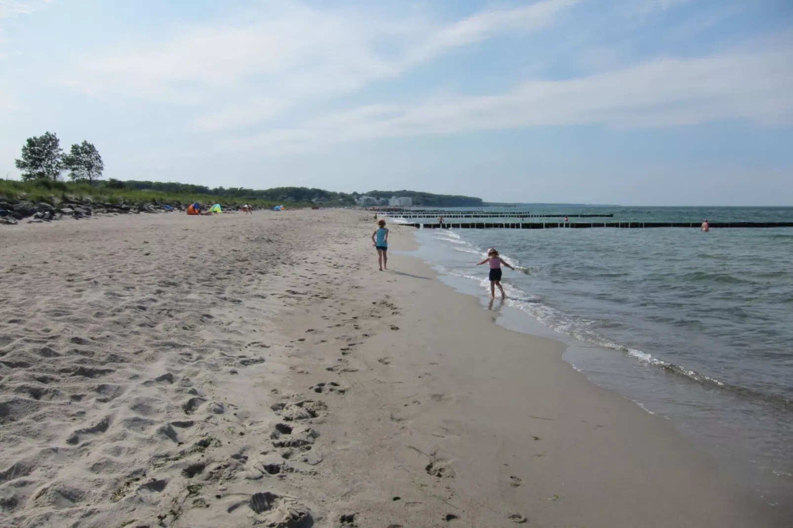 54678-Gebieden zomer 5km